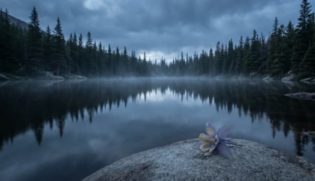 Grief Counseling Colorado Springs
