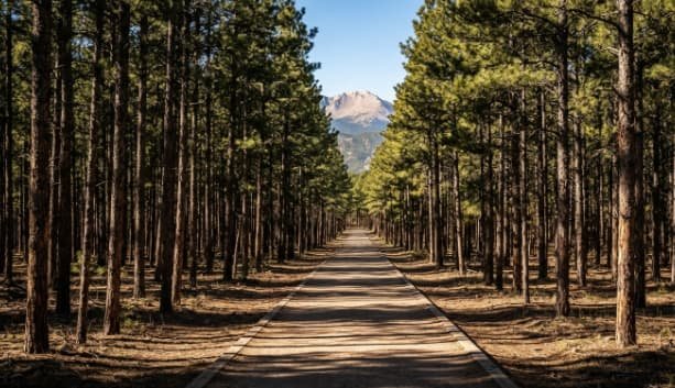 CBT Therapy in Colorado Springs