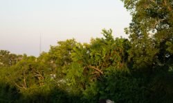 rauma-informed therapy Pembroke Pines