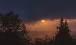 EMDR therapy for perfectionism